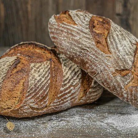 Buskovsky Mlyn 1580 Penzion 3*