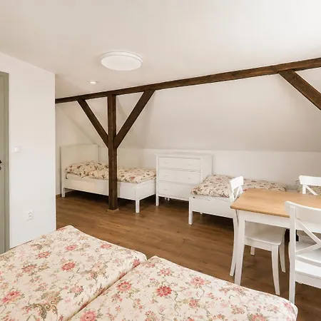 Buskovsky Mlyn 1580 Гостевой дом 3*