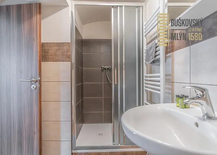 Buskovsky Mlyn 1580 3* Dolní Bousov