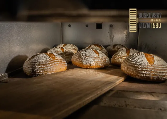 Buskovsky Mlyn 1580 3* Dolní Bousov