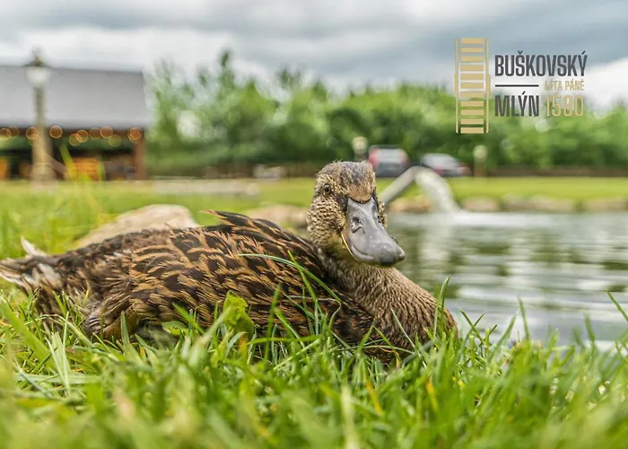 Konukevi Buskovsky Mlyn 1580 3*